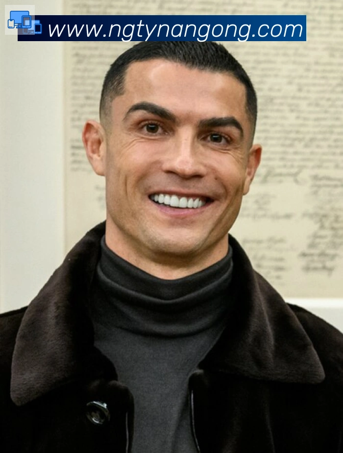 维尼修斯